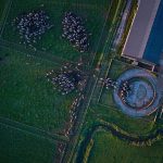 Aerial view of a modern dairy farm and paddocks